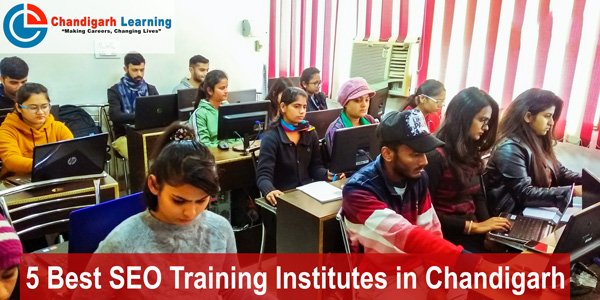 5 Best SEO Training Institutes in Chandigarh