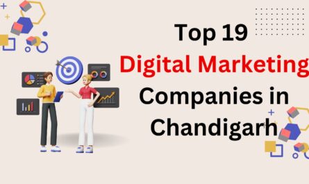 Top 19 Digital Marketing Companies in Chandigarh