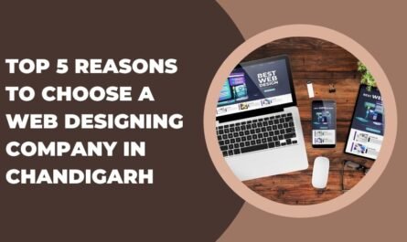 Top 5 Reasons to Choose a Web Designing Company in Chandigarh