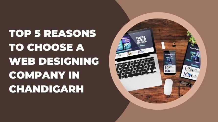 Top 5 Reasons to Choose a Web Designing Company in Chandigarh