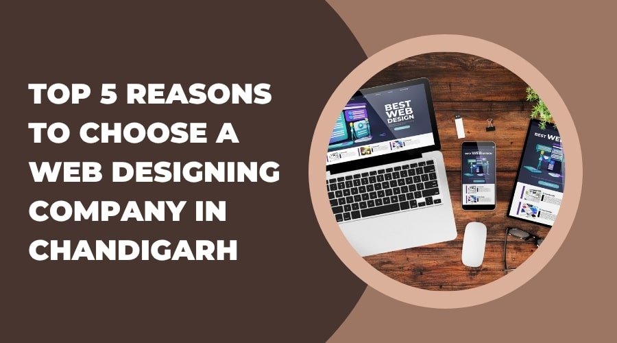 Top 5 Reasons to Choose a Web Designing Company in Chandigarh