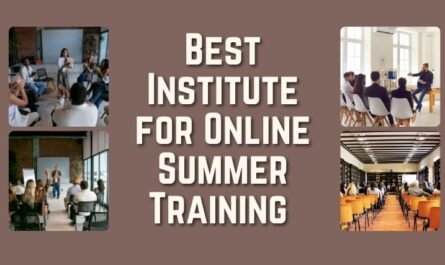 Best Institute for Online Summer Training 