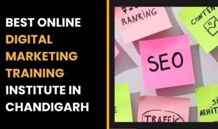 Online Digital Marketing Training Institute in Chandigarh
