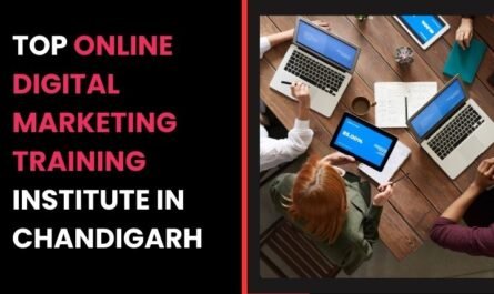 Top Online Digital Marketing Training Institute in Chandigarh