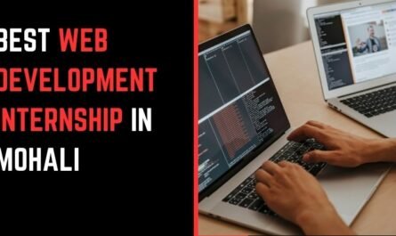 Best Web Development Internship in Mohali
