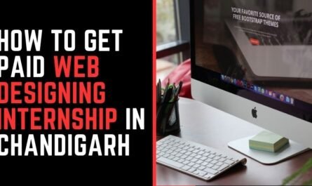How to Get Paid Web Designing Internship in Chandigarh