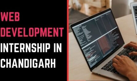Best Web Development Internship in Chandigarh