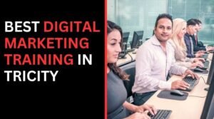 Best Digital Marketing Training in Tricity