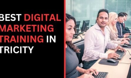 Best Digital Marketing Training in Tricity